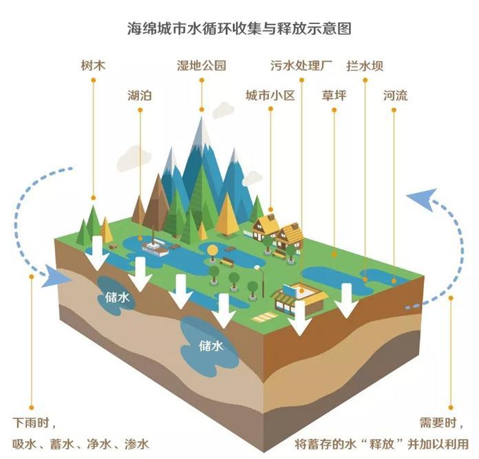 关于印发?岛市海绵城市规划建设管理办法的通知